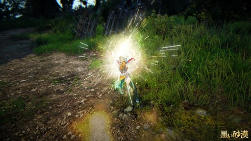 画像ギャラリー No.016のサムネイル画像 / 「黒い砂漠」新クラス「ミスティック」プレイレポート。華麗な足技が特徴の女性格闘家は初心者にも扱いやすいコンボキャラ