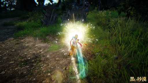 画像ギャラリー No.017のサムネイル画像 / 「黒い砂漠」新クラス「ミスティック」プレイレポート。華麗な足技が特徴の女性格闘家は初心者にも扱いやすいコンボキャラ