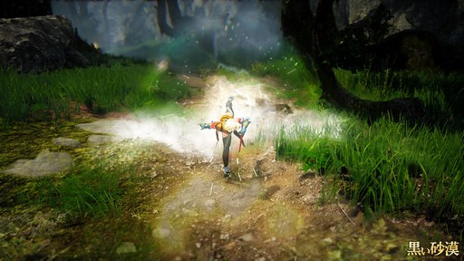 画像ギャラリー No.023のサムネイル画像 / 「黒い砂漠」新クラス「ミスティック」プレイレポート。華麗な足技が特徴の女性格闘家は初心者にも扱いやすいコンボキャラ