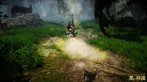 画像ギャラリー No.025のサムネイル画像 / 「黒い砂漠」新クラス「ミスティック」プレイレポート。華麗な足技が特徴の女性格闘家は初心者にも扱いやすいコンボキャラ