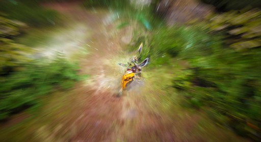 ���������꡼ No.021�Υ���ͥ������ / �ֹ��������ץߥ��ƥ��å�����������ζ�áץץ쥤��ݡ��ȡ��������Ϥ������ߥ��ƥ��å�����ζ�βø�����������ȴ����