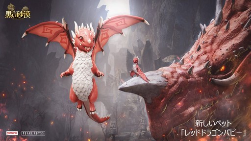 ���������꡼ No.019�Υ���ͥ������ / �ֹ���������3rd Anniversary Party���š������ɥޥåפ�������줿�������ͤ��ݡ���