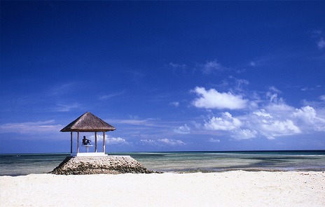 ���������꡼ No.009�Υ���ͥ������ / �ֹ��������פǥ������⥤�٥�ȡ֥ƥ�ߥ��󥦥��������ѡ����פ������档��®���ꥢ����ȸ���100���ߤ���館����򤭥��٥�Ȥ�