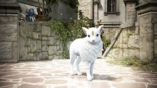 ���������꡼ No.007�Υ���ͥ������ / �ֹ��������ס�����ǽ����ե��å������ɤ�100̾���������100����ܥץ쥼��ȥ����ڡ���ɤ�������