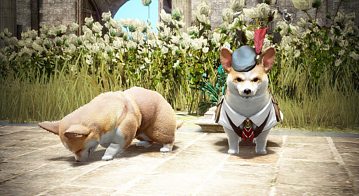 画像ギャラリー No.008のサムネイル画像 / 「黒い砂漠」で「影の戦場 賞金争奪バトルロイヤル」開催