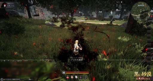 ꡼ No.009Υͥ / Ǥ⥵ХСʥǥϡ 2019ǯŸ˾줿ֹ׿ƥġֱƤץǥƱθݡ