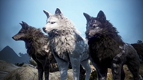 ���������꡼ No.009�Υ���ͥ������ / �ֹ��������ס������������ǳ���������ꥢ���ƥब������륤�٥�ȡ֥��������ȶ���� �����פ򳫺�