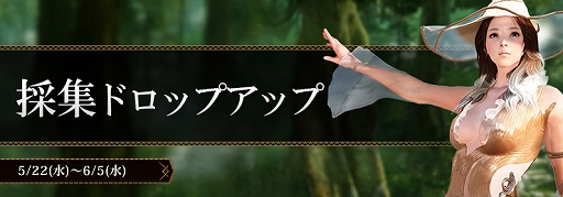 黒い砂漠 ダンデリオン武器箱などが入手できる釣りイベントが開催 期間限定で 採集ドロップアップ の実施も 黒い砂漠 ダンデリオン武器箱などが入手できる釣りイベントが開催 期間限定で 採集ドロップアップ の実施も