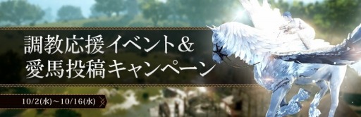 画像ギャラリー No.002のサムネイル画像 / 「黒い砂漠」,秋のキャラクター&アイテム強化応援イベントが本日より開催