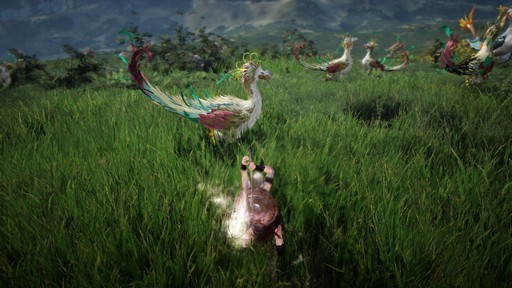 ꡼ No.016 | ֹפο饹֥ǥפԥץ쥤̤Ũʴդ롤磻ɤĥѥեʥե