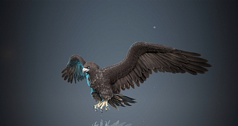 ���������꡼ No.006�Υ���ͥ������ / �ֹ��������ס������饹�֥����ǥ�����פ�������������ǰ���٥�Ȥ䥰��ե��å��������ɤ������륭���ڡ����