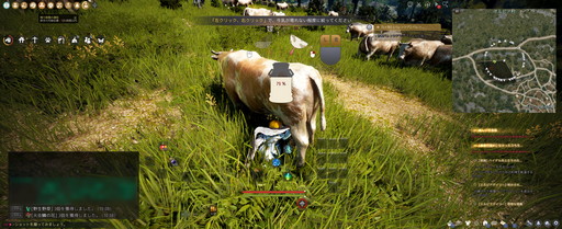 ꡼ No.007 | ֹפʬΥڡ褷ʿͤ˥ޥڡǳڤ륳ƥĤҲ