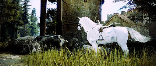 ꡼ No.033 | ֹפʬΥڡ褷ʿͤ˥ޥڡǳڤ륳ƥĤҲ