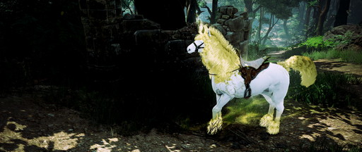 ꡼ No.034 | ֹפʬΥڡ褷ʿͤ˥ޥڡǳڤ륳ƥĤҲ