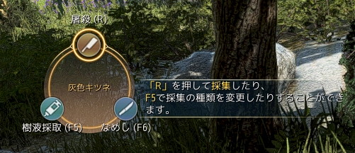 ꡼ No.023 | ֹפϡåץǡȡɤͷӤ䤹ʤ롣ޤǤβͷӤ䤹ʤäȤҲ𤷤褦