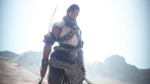 画像ギャラリー No.021のサムネイル画像 / PC版「黒い砂漠」のPvEで人気のクラスを独自調査。アンケート結果から人気クラスやその傾向を分析してみよう