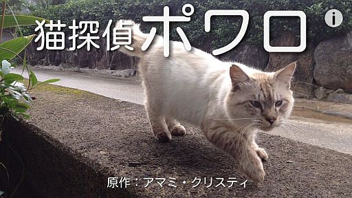 ���������꡼ No.004�Υ���ͥ������ / ADV�������ץ�֥ĥ���.com�פ���۲ݶ⥵���ӥ������ϡ��б����������