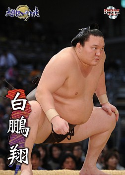 画像ギャラリー No.003のサムネイル画像 / 「大相撲カード決戦」,五月場所限定カードを5月12日から両国国技館で配布