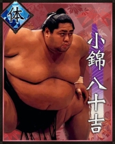 画像集#011のサムネイル/「大相撲カード決戦」2014年度登場「ボス力士」復活ファン投票イベントが開催