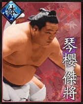 画像ギャラリー No.004のサムネイル画像 / 「大相撲カード決戦」,2015年上半期の「ボス力士」復活ファン投票開催