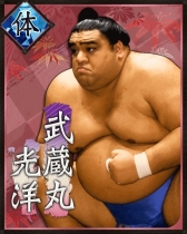 画像ギャラリー No.010のサムネイル画像 / 「大相撲カード決戦」でサービス開始2000日を記念したイベントが開催