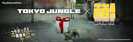 ꡼ No.002Υͥ / Ȣ -OPEN ME-פȡTOKYO JUNGLEפܡ൤100ʥϥʤTOKYO JUNGLEȢפǥХХ봶դȢĩ路褦