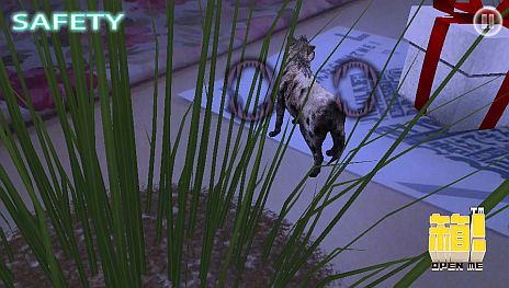 ꡼ No.003 | Ȣ -OPEN ME-פȡTOKYO JUNGLEפܡ൤100ʥϥʤTOKYO JUNGLEȢפǥХХ봶դȢĩ路褦