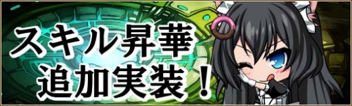 ꡼ No.008Υͥ / ոΥꥢס꡼䥢륯⥢ʤ30ΤΥˡ֥뾺ڡפ