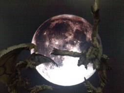 ꡼ No.002 | ֥ϥCFB ɥǥȤäƥȤڤ28ѹ