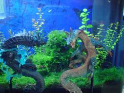 ꡼ No.008 | ֥ϥCFB ɥǥȤäƥȤڤ28ѹ