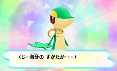 ꡼ No.005 | ꡼ǿ֥ݥԻ׵ĤΥ󥸥ޥʥȤȡµܡפ2012ǯߤ3DSȯꡤȤμΡִݤΡפǥޥʥȤ򳫤