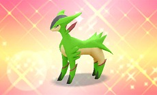 ꡼ No.021 | ꡼ǿ֥ݥԻ׵ĤΥ󥸥ޥʥȤȡµܡפ2012ǯߤ3DSȯꡤȤμΡִݤΡפǥޥʥȤ򳫤