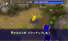 ꡼ No.040 | ֥ݥԻ׵ĤΥ󥸥 ޥʥȤȡµܡסоݥ俷ǡ֥ݥѥפʤɤκǿ