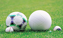 ꡼ No.008 | ֥ݥԻ׵ĤΥ󥸥 ޥʥȤȡµܡθǤۿϡǡ֤Ϥä󡪥ޥʥȡפθǽǤؤΰѤ