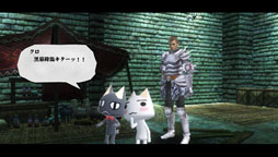 ꡼ No.005Υͥ / ֥ϥʥ3פȡ֤ߤʤȤäפܤɥƥĤۿꡣȥȥƹо