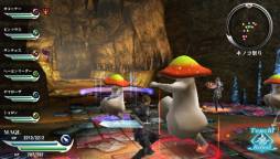 ꡼ No.009Υͥ / ֥ϥʥ3פοȡĴפʤɤۿ