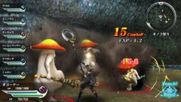 ꡼ No.011Υͥ / ֥ϥʥ3פοȡĴפʤɤۿ