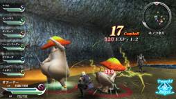 ꡼ No.012Υͥ / ֥ϥʥ3פοȡĴפʤɤۿ