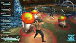 ꡼ No.013Υͥ / ֥ϥʥ3פοȡĴפʤɤۿ