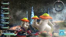 ꡼ No.015Υͥ / ֥ϥʥ3פοȡĴפʤɤۿ