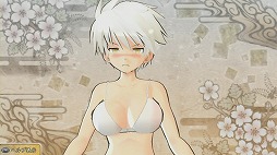 ꡼ No.039Υͥ / ٤˲ʾϤʤۤɥꥮ³ʡ𥫥 SHINOVI VERSUS -ãξ-פץ쥤ࡼӡǾҲ