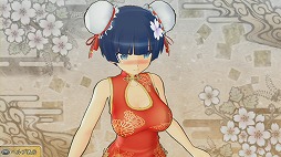 ꡼ No.040Υͥ / ٤˲ʾϤʤۤɥꥮ³ʡ𥫥 SHINOVI VERSUS -ãξ-פץ쥤ࡼӡǾҲ