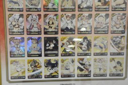 画像ギャラリー No.015のサムネイル画像 / 「閃乱カグラTCG UNLIMITED VS」の発売前イベントが花やしきで開催。マーベラスAQLの高木謙一郎氏と飛鳥役の声優・原田ひとみさんも駆けつけた