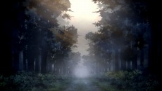 ꡼ No.005 | ۰¼׸Ȥץ˥󥰥ࡼӡθɲóŤ