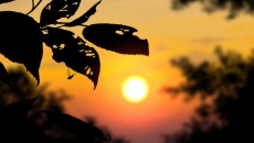 ꡼ No.009 | ۰¼׸Ȥץ˥󥰥ࡼӡθɲóŤ