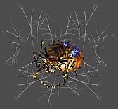 ꡼ No.005Υͥ / ۰¼סȹǡζספʤ10ΤΡȿƶ̡ɤ餫ˡŹƬθ2Ƥξץå