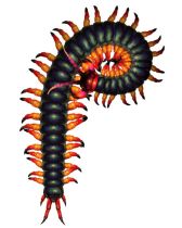 ꡼ No.006Υͥ / ۰¼סȹǡζספʤ10ΤΡȿƶ̡ɤ餫ˡŹƬθ2Ƥξץå