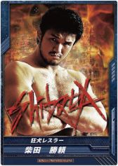 ꡼ No.013 | ֥  ץ쥹󥰡ס3Ƥ413ȯ䡣٥Ⱦ