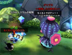 ꡼ No.004 | ARK SPHEREפ5Υܥи쥤ɥեɡֲפ