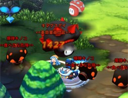 ꡼ No.007 | ARK SPHEREפ5Υܥи쥤ɥեɡֲפ